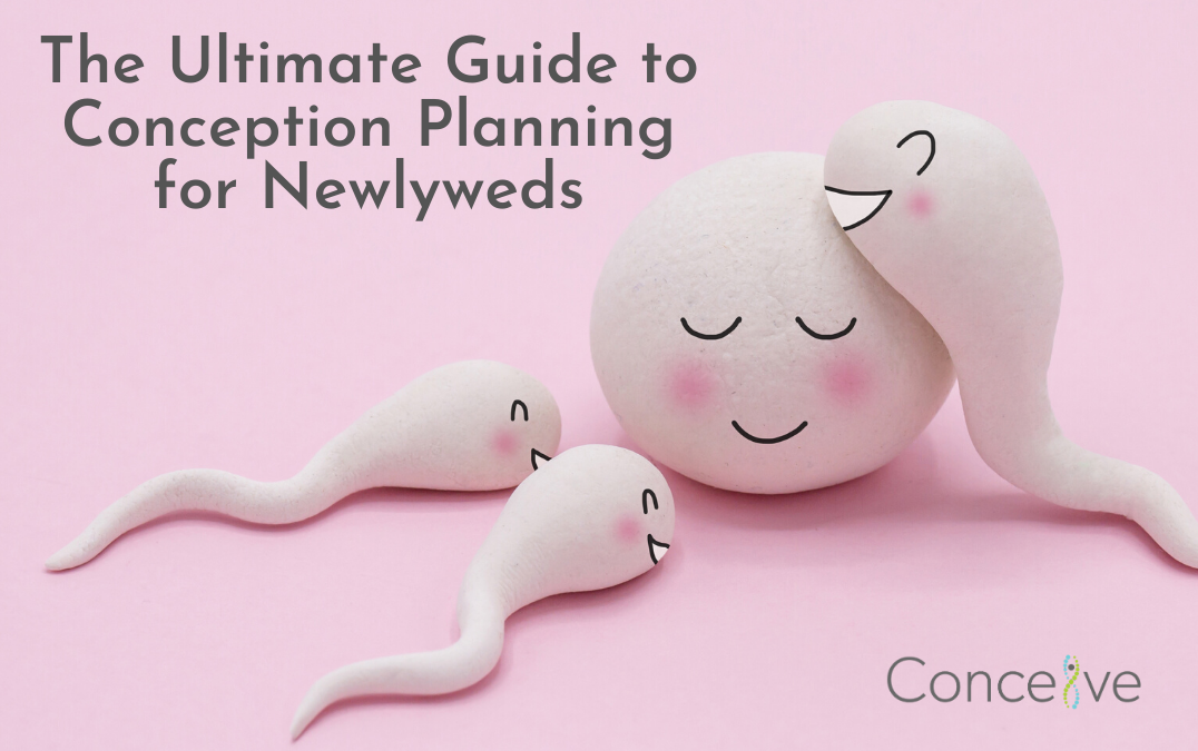 The Ultimate Guide to Conception Planning for Newlyweds