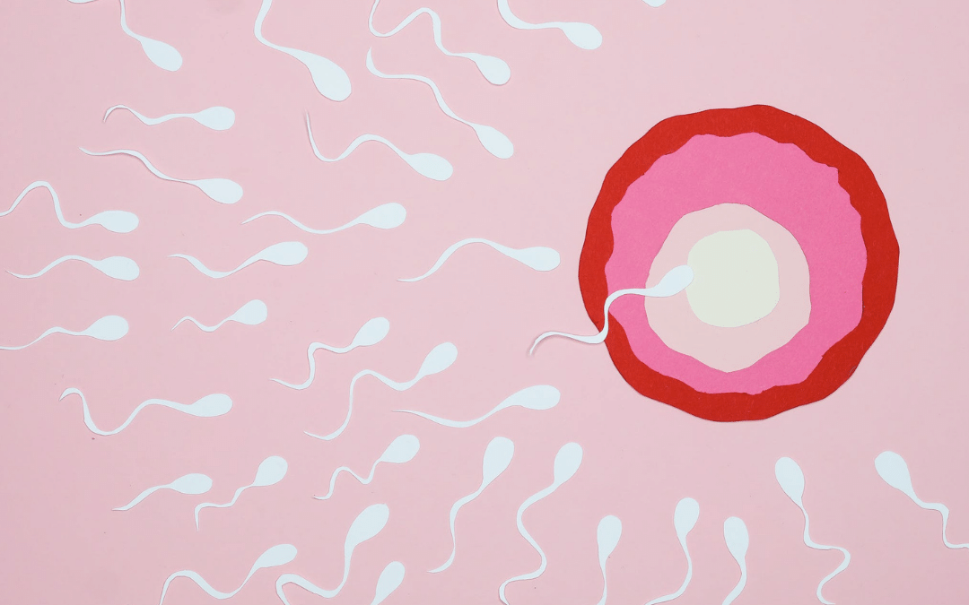 Can Genetic Testing Improve Your Fertility Plan?