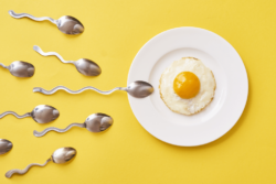 Spoons shaped like sperm arranged near a fried egg.