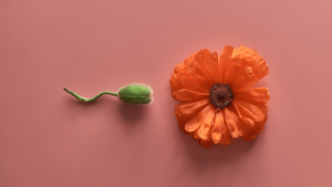 A flower stem resembling a sperm points towards a flower.