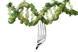 A fork touching green vegetables and fruit shaped to resemble D N A.